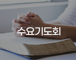 수요기도회